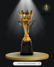 Big Cricket Trophy - Image 4