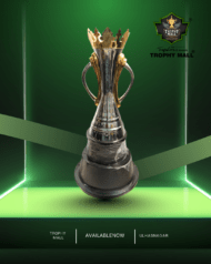Cricket Champions Trophy - Image 4