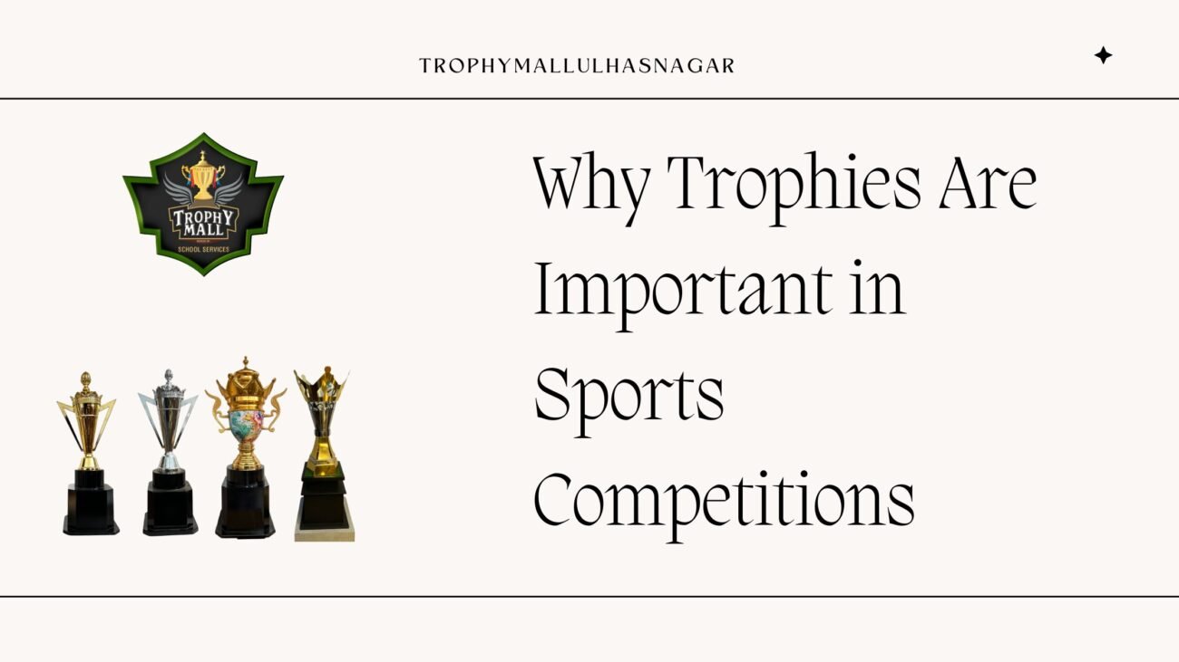Why Trophies Are Important In Sports Competitions