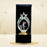 Red Ball Cricket Bowler Trophy featuring a silver-tone star, fielder design, red cricket ball, black frame-style body, and gold-tone base