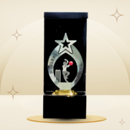 Red Ball Cricket Bowler Trophy featuring a silver-tone star, fielder design, red cricket ball, black frame-style body, and gold-tone base