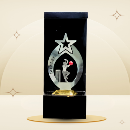 Red Ball Cricket Bowler Trophy featuring a silver-tone star, fielder design, red cricket ball, black frame-style body, and gold-tone base