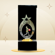 Red Ball Cricket Fielder Trophy featuring a silver-tone star, fielder design, red cricket ball, black frame-style body, and gold-tone base