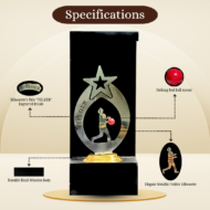 Red Ball Cricket Fielder Trophy - Image 2