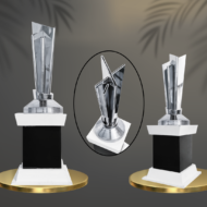 Silver Blades T20 Cricket Trophy - Image 3
