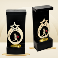 Red Ball Cricket Fielder Trophy - Image 3