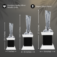 Silver Blades T20 Cricket Trophy - Image 4