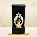 Golden Ball Cricket Man of the Series Trophy featuring a silver-tone star, golden cricket ball, cricket player and stumps design, black frame-style body, and gold-tone base
