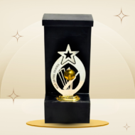 Golden Ball Cricket Man of the Series Trophy featuring a silver-tone star, golden cricket ball, cricket player and stumps design, black frame-style body, and gold-tone base