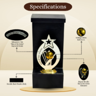 Golden Ball Cricket Man of the Series Trophy - Image 2