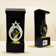 Golden Ball Cricket Man of the Series Trophy - Image 3