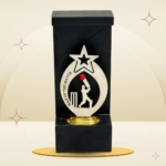Red Ball Cricket Man of the Match Trophy featuring a silver-tone star, batsman silhouette, red cricket ball, black frame-style body, and gold-tone base