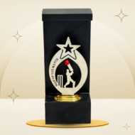 Red Ball Cricket Man of the Match Trophy featuring a silver-tone star, batsman silhouette, red cricket ball, black frame-style body, and gold-tone base