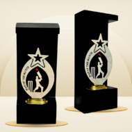 Red Ball Cricket Man of the Match Trophy - Image 4