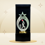 Red Ball Cricket Batsman Trophy featuring a batsman silhouette, red cricket ball, star-themed silver-tone centerpiece, black frame-style design, and gold-tone base