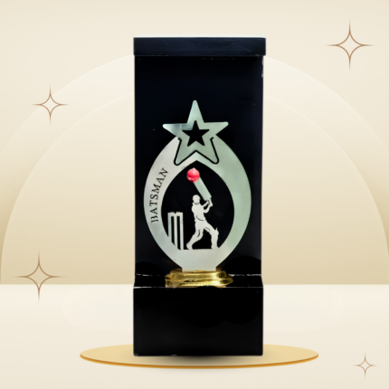 Red Ball Cricket Batsman Trophy featuring a batsman silhouette, red cricket ball, star-themed silver-tone centerpiece, black frame-style design, and gold-tone base